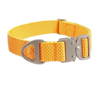 FellSchutz - Hundehalsband