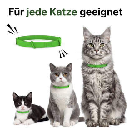 Natürlicher Schutz vor Zecken & Flöhen