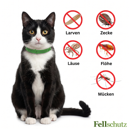 Natürlicher Schutz vor Zecken & Flöhen